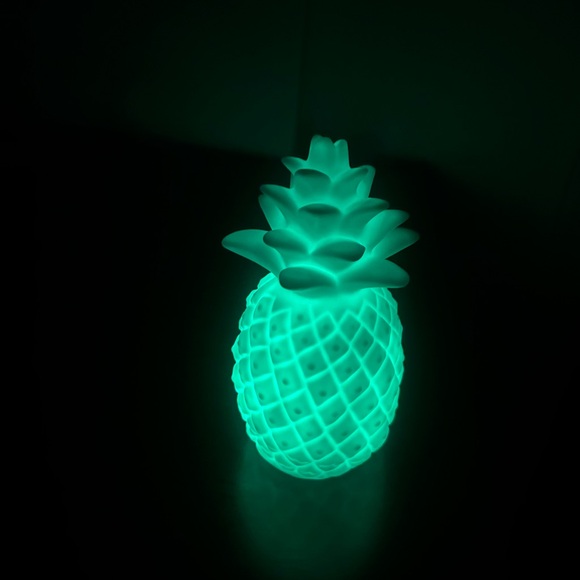 Light Up Pineapple Decor - Picture 8 of 9